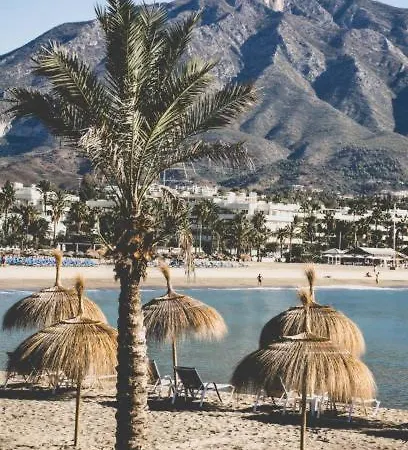 Piso Centrico En Avenida Principal *